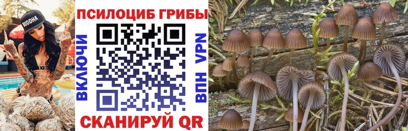 Галлюциногенные грибы мицелий  Нальчик 